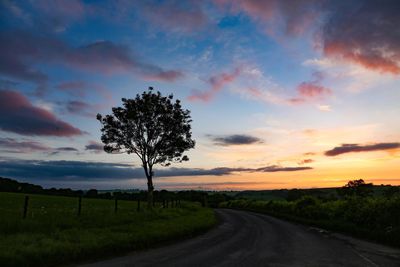 Road amidst trees on field against sky during sunset