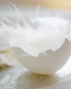Close-up of ice cream