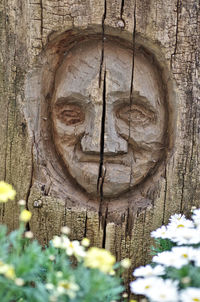 Close-up of sculpture on tree trunk