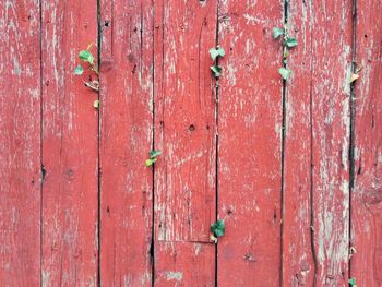 Full frame shot of wooden wall