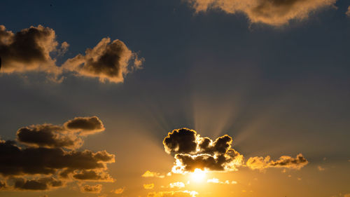 Low angle view of silhouette plants against sky during sunset