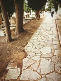 Footpath in park