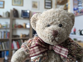 teddy bear