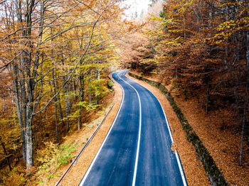 Road amidst trees in forest during autumn