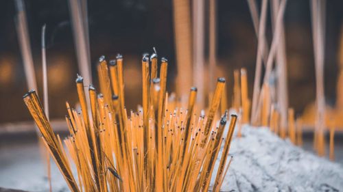 Close-up of joss stick against temple