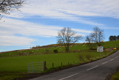 Road amidst field against sky