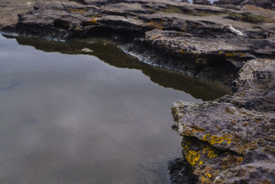 High angle view of rock at sea shore