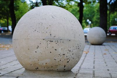 Close-up of ball and tree