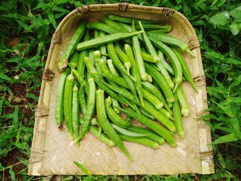 High angle view of vegetables on table