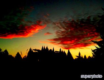 Silhouette of trees at sunset