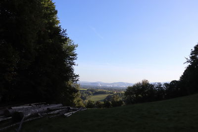 Scenic view of field against clear sky