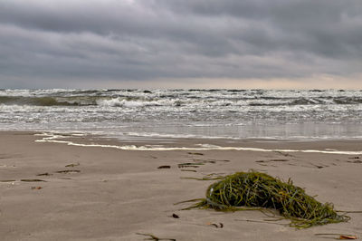 Scenic view of beach against sky