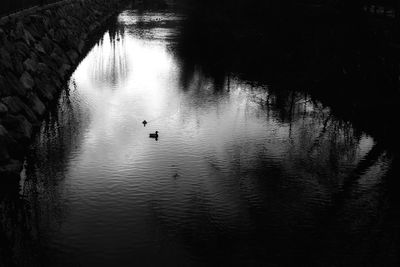 Swan swimming in lake against sky