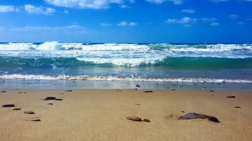 Scenic view of beach against sky