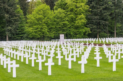 White cross in cemetery