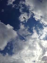 Low angle view of birds flying in sky