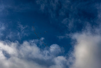 Low angle view of birds flying against cloudy sky