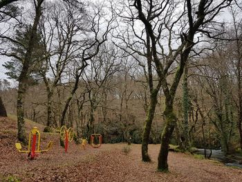 Bare trees against sky