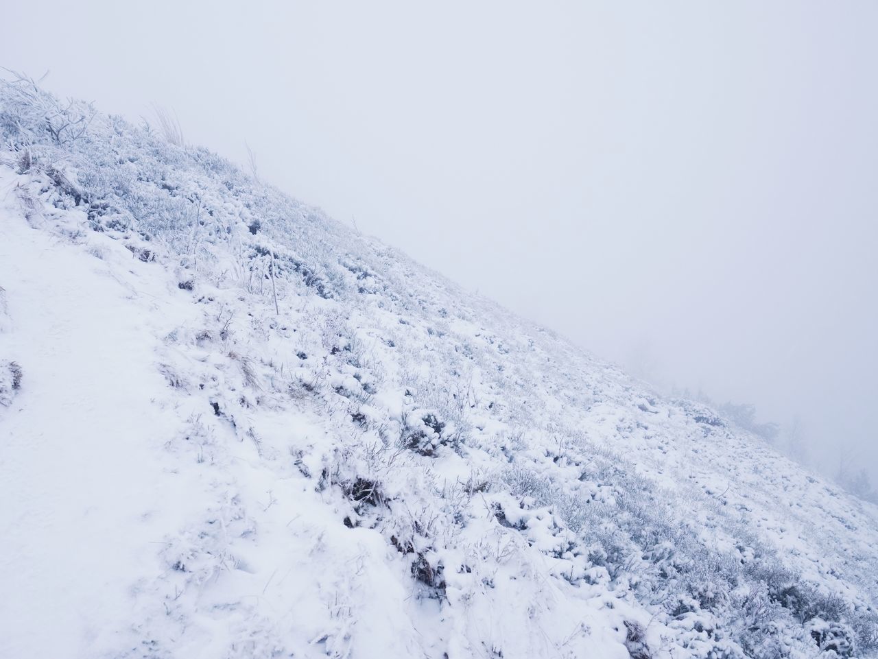 SNOW COVERED LAND