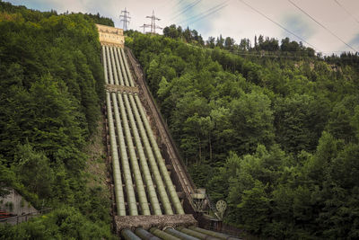 Railroad tracks amidst trees in forest against sky
