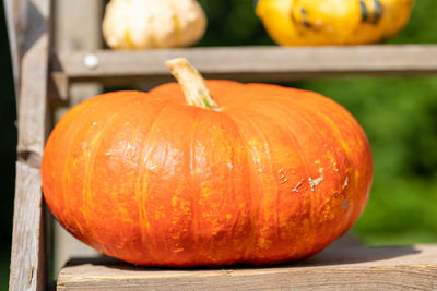 Close-up of pumpkins on table