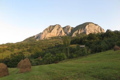 Scenic view of landscape against clear sky