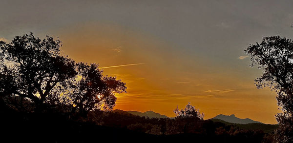 Silhouette trees against sky during sunset