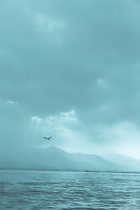 Seagull flying over sea against sky