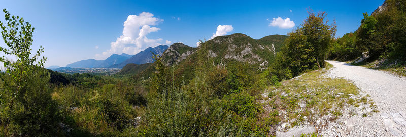 Panoramic view of plants and trees against sky