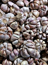 Full frame shot of garlics for sale
