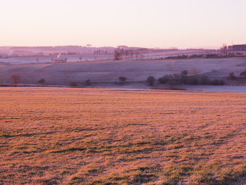 Scenic view of field against sky during sunset