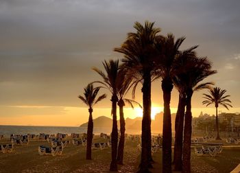 Palm trees on beach against sky during sunset