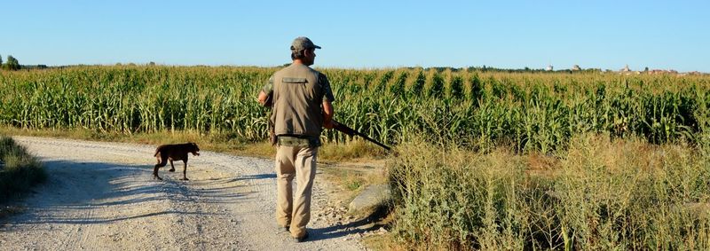 Rear view of man with dog holding rifle while walking on land