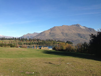 Scenic view of field against blue sky