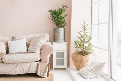 A real christmas tree in a wicker basket stands on the window sill next to a pillow 