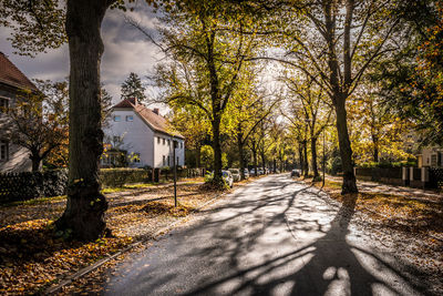 Road amidst trees against sky during autumn