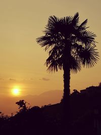 Low angle view of silhouette palm tree against sky during sunset