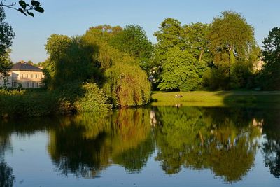 Scenic view of lake by trees against sky