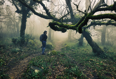 Woman looking away while standing by tree in forest