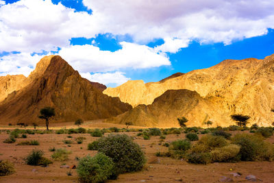 Scenic view of landscape against cloudy sky