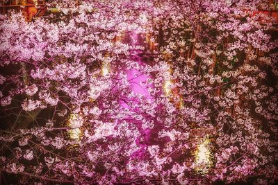 Full frame shot of pink window against sky