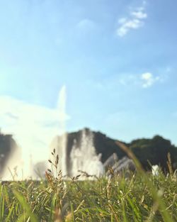 Scenic view of grassy field against sky