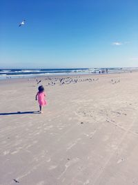 Rear view of girl walking towards birds at beach against blue sky