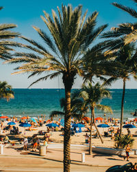 Palm trees on beach by sea against sky