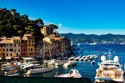 Boats moored at harbor against clear blue sky