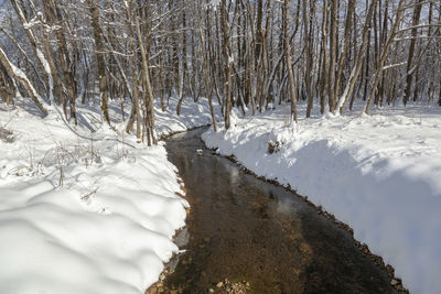 Scenic view of stream in winter
