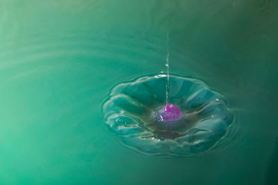 High angle view of drop falling on water