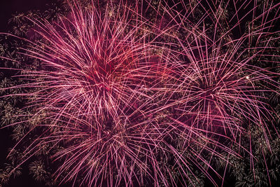 Low angle view of firework display at night