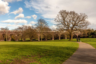 Trees in park