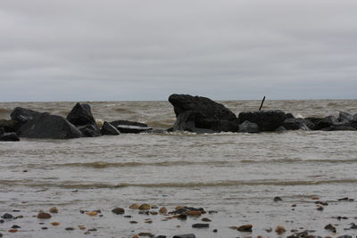 Rocks on sea shore against sky